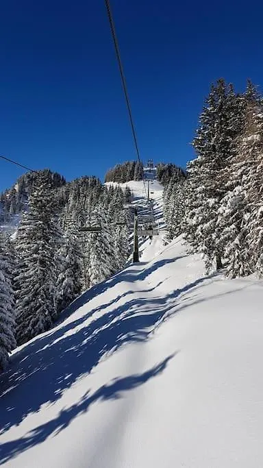 Appartamento Piccola Suite sul Civetta Colle Santa Lucia